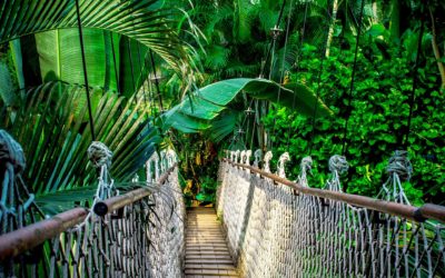 Se réinventez et dépasser les idées reçues